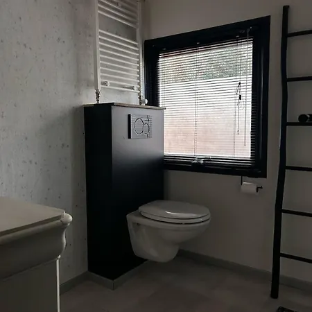 Spacious Two Bedroom Holiday home Hattemerbroek