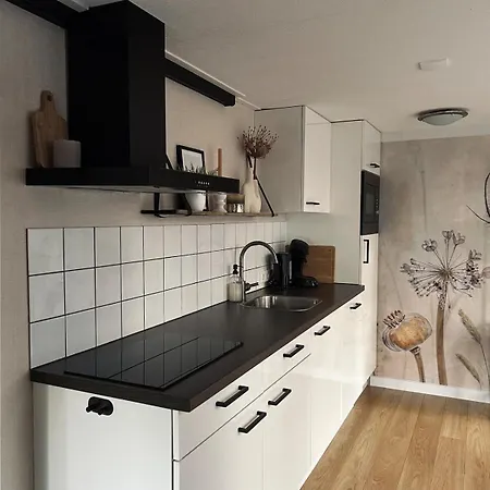 Spacious Two Bedroom Holiday home Hattemerbroek