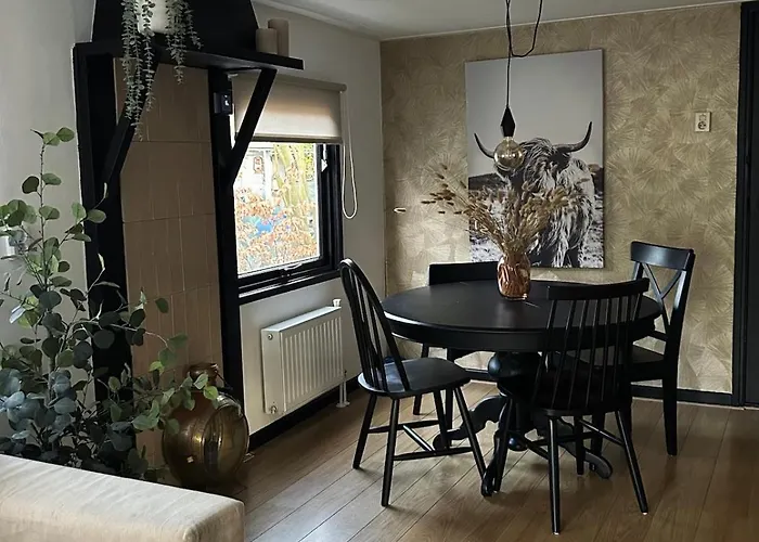 Spacious Two Bedroom Hattemerbroek