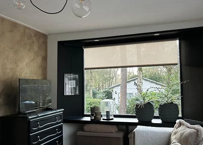 Tatil Evi Spacious Two Bedroom Hattemerbroek