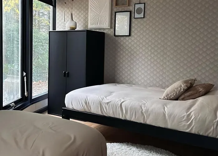 Spacious Two Bedroom Hattemerbroek